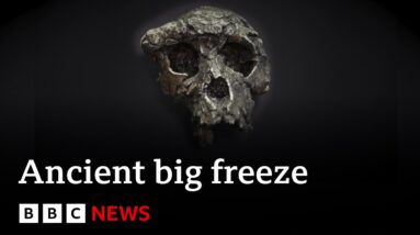 Big freeze drove early humans out of Europe, scientists reveal - BBC News