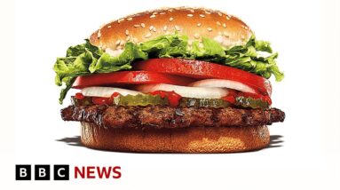 Burger King faces lawsuit over Whopper size - BBC News
