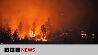 Canada suffers worst wildfire season on record - BBC News