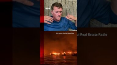 Tourists and residents were forced to flee the wildfires. #Shorts #Hawaii #Wildfires #BBCNews