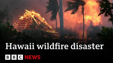 Hawaii deadly wildfires cause catastrophic damage - BBC News