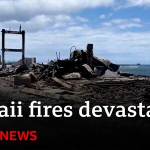 Hawaii fires death toll on Maui island rises - BBC News