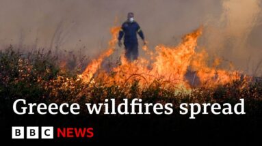 How fast are the Greece wildfires spreading in Avantas? - BBC News
