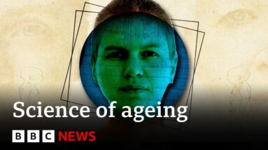 How to live longer, according to science - BBC News