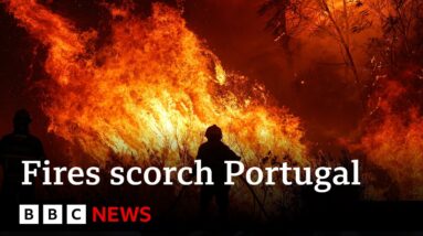 Portugal battles wildfires as temperatures soar - BBC News
