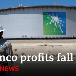 Saudi state-owned oil giant Aramco sees profits drop - BBC News