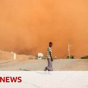Up to 75% of the world could be facing drought by 2050 - BBC News