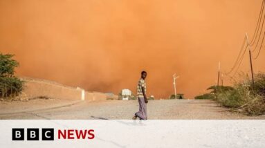 Up to 75% of the world could be facing drought by 2050 - BBC News