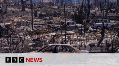 US President Biden to visit fire-hit Maui on Monday – BBC News
