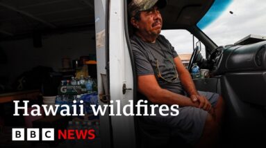 Warnings over Maui fires came late, evacuees say - BBC News