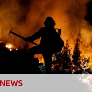 Wildfires in Hawaii, Canada and Tenerife cause concern - BBC News
