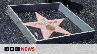 Calls for Donald Trump's Hollywood Walk of Fame star to be removed - BBC News