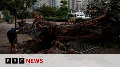 Typhoon Saola makes landfall in China - BBC News