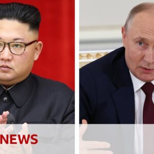 Ukraine war: Kim Jong Un to meet Vladimir Putin in Russia - BBC News