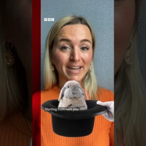 One UK university has started offering a degree in magic #Shorts #Uni #BBCNews