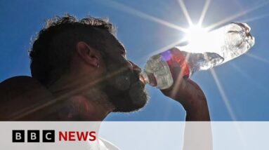 Global temperatures in September warmest on record, scientists find - BBC News