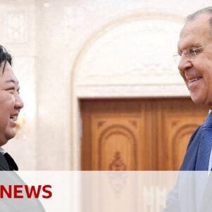 Russia thanks North Korea for Ukraine war support - BBC News