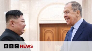 Russia thanks North Korea for Ukraine war support - BBC News