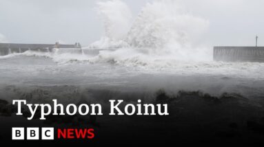 Typhoon Koinu hits Taiwan bringing travel chaos - BBC News