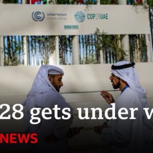 COP28 climate summit gets under way in Dubai | BBC News