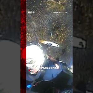 Moment pilot is rescued from crocodile-infested waters in Florida, US. #Shorts #Florida #BBCNews