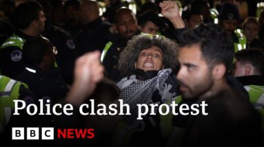 Israel-Gaza: Ceasefire protest at Democrats' national headquarters turns violent - BBC News