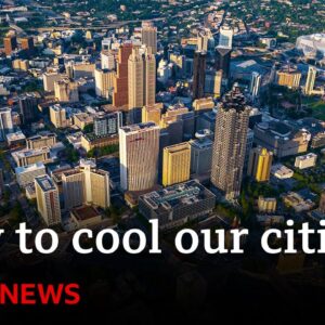 Future Earth: How to combat extreme heat in urban areas - BBC News