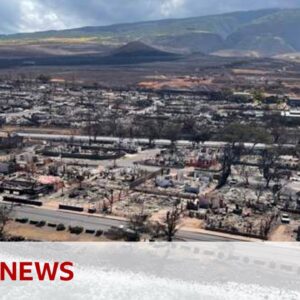 Investigating the Hawaii wildfires - BBC News