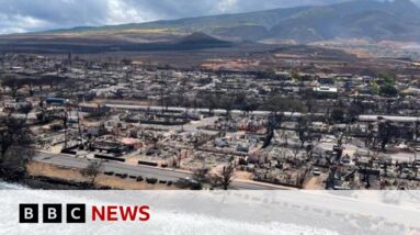 Investigating the Hawaii wildfires - BBC News