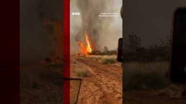 Moment ‘firenado’ sweeps through the Australian outback. #Shorts #Wildfire #Firenado