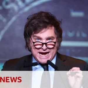 Javier Milei wins Argentina presidential run-off election - BBC News