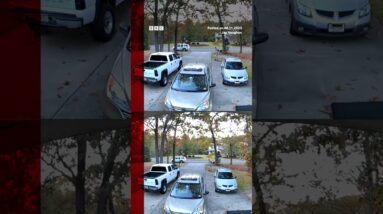Moment a deer leaps over two cars in New Jersey. #Shorts #US #BBCNews