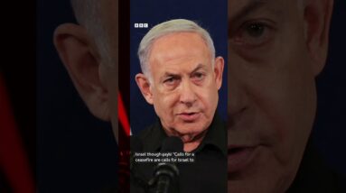 Israel-Gaza war: Difference between a ceasefire and humanitarian pause #Shorts #BBCNews