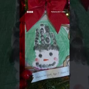 The White House has unveiled its holiday decorations. #Shorts #WhiteHouse #Christmas #BBCNews