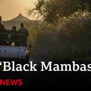 South Africa’s ‘Black Mamba’ anti-poaching unit | BBC News