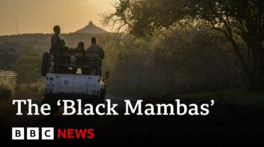 South Africa’s ‘Black Mamba’ anti-poaching unit | BBC News