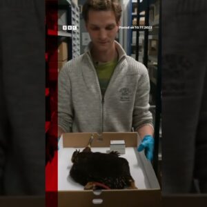 Scientists filmed the 'lost echidna', which was feared to be extinct. #Shorts #Echidna #BBCNews