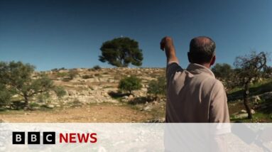 Pressure on Israel to curb violence against Palestinians in Gaza’s occupied West Bank - BBC News