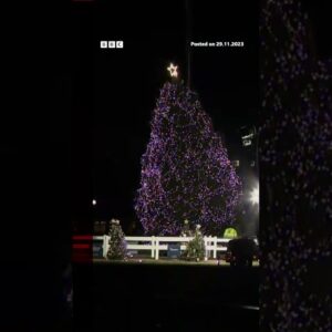 Moment White House Christmas tree blown over by high winds. #USPolitics #BBCNews