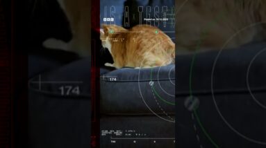 Nasa beamed a cat video 19 million miles from space to Earth with a laser. #Shorts #Nasa #BBCNews
