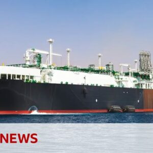 BP pauses all Red Sea shipments after rebel attacks | BBC News