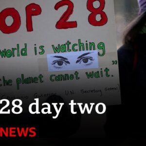 COP28 climate conference enters second day in Dubai | BBC News