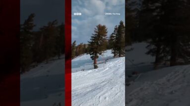 A skier just missed hitting a bear on the slopes of Lake Tahoe, California. #Shorts #BBCNews