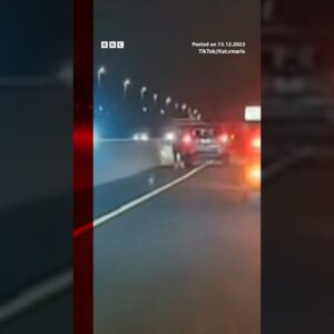 Drivers in New York helped save a dog that was running along a busy road. #Shorts #NYC #BBCNews