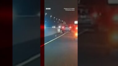 Drivers in New York helped save a dog that was running along a busy road. #Shorts #NYC #BBCNews