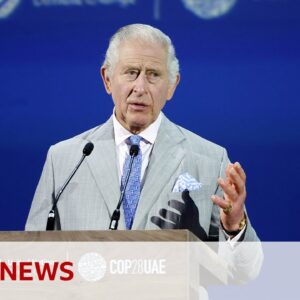 COP28: King Charles says dangers of climate change are no longer distant risks | BBC News