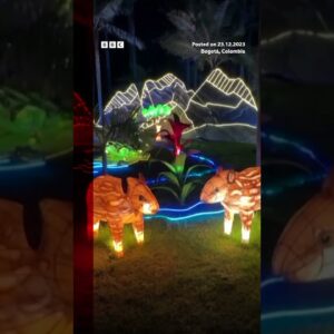 Cities around the world light up for Christmas. #Shorts #Christmas #BBCNews