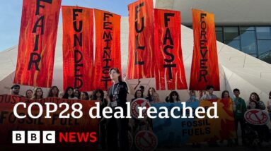 'Historic' COP28 deal to 'transition away' from fossil fuels adopted - BBC News