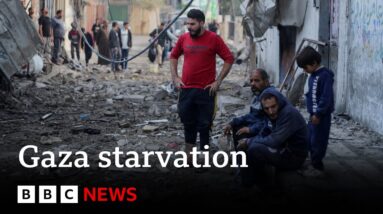 UN warns half of Gaza's population is starving - BBC News