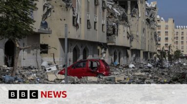 UN Security Council to meet after ICJ ruling on Israel-Gaza war | BBC News